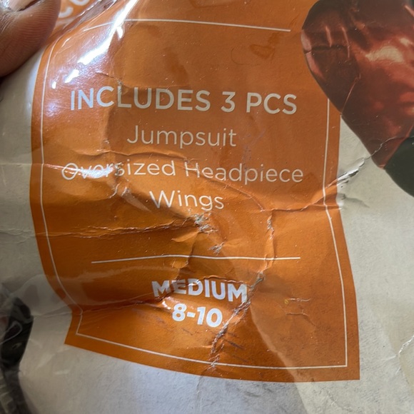 Big fly costume - Picture 2 of 3